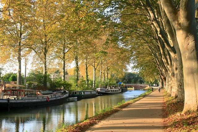 canaldumidi tolosa alberi autunno 1