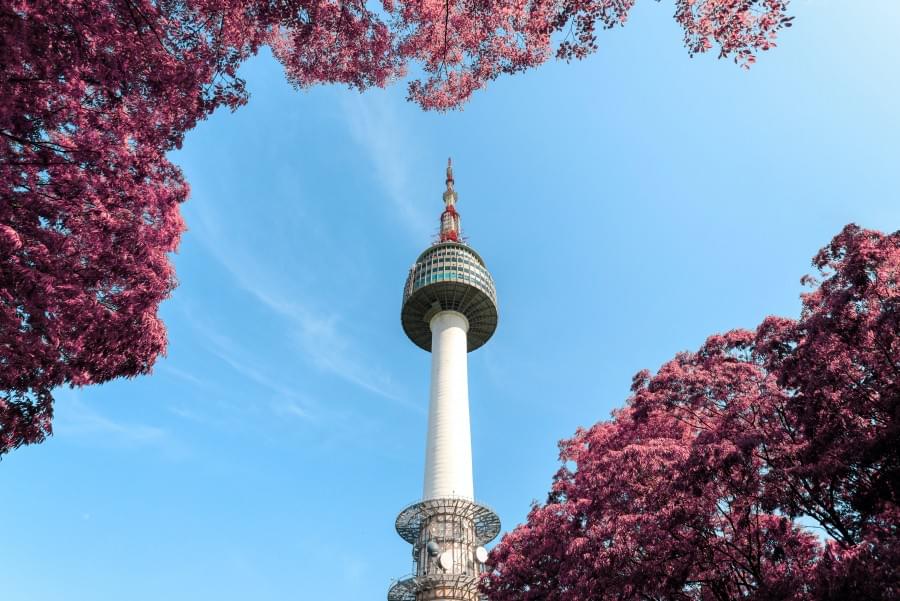 seoul tower sera