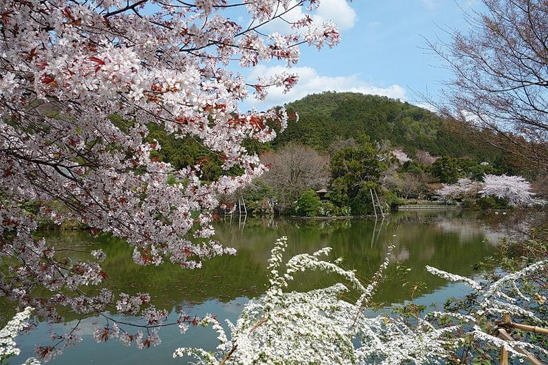 Ryoanji e il giardino zen