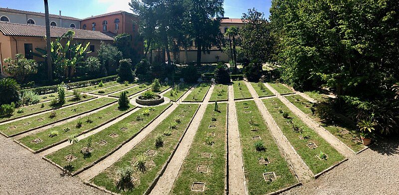 vista orto botanico pisa